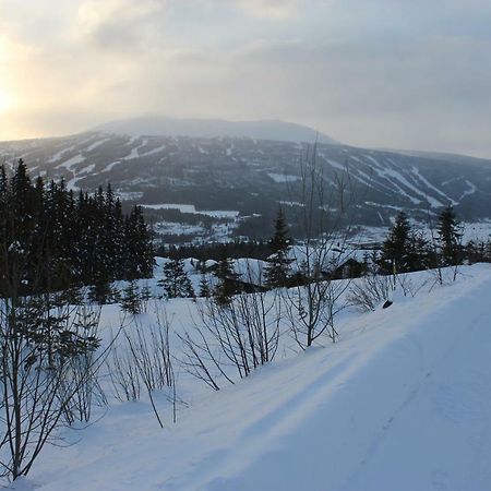Вілла Lillebjorn Трюсіль Екстер'єр фото